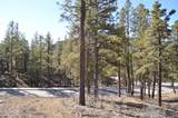 35 Snowdrop Ct. (Lot 141) - Photo 6