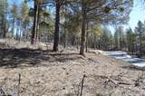35 Snowdrop Ct. (Lot 141) - Photo 7
