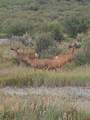 82415 Highway 92 - Photo 28