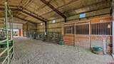 41990 Cottonwood Creek Road - Photo 19