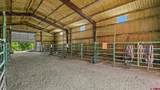 41990 Cottonwood Creek Road - Photo 20