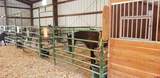 41990 Cottonwood Creek Road - Photo 21