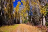 TBDWP County Road 124 - Photo 26
