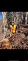 TBDWP County Road 124 - Photo 3