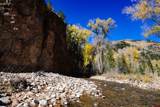 TBDWP County Road 124 - Photo 31