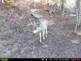 TBDWP County Road 124 - Photo 35