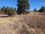 129 & 147 Park Avenue - Photo 10