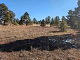 129 & 147 Park Avenue - Photo 11