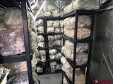 185 Lena Street - Photo 28