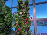 185 Lena Street - Photo 9