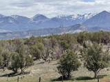 34319 Fruitland Mesa Road - Photo 21