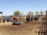 15004 County Road 20 - Photo 8