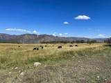22000 P77 Road - Photo 24