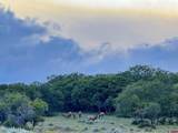 22000 P77 Road - Photo 29
