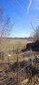 1726 Aldridge Road - Photo 20
