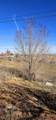 1726 Aldridge Road - Photo 24
