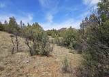 206 Alcazar Place - Photo 10