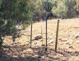 206 Alcazar Place - Photo 34