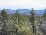 206 Alcazar Place - Photo 4