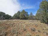 206 Alcazar Place - Photo 7