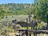 000 96 & 595 Highway - Photo 9