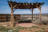 870 Dolores - Photo 43