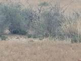 57840 Gloria B Drive - Photo 4