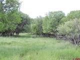 18880 3100 Road - Photo 14