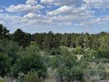 35 Gypsy Road - Photo 30
