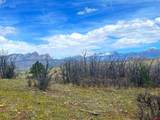 223 Spring Valley Ranch Road - Photo 10