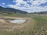 223 Spring Valley Ranch Road - Photo 31
