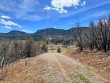 223 Spring Valley Ranch Road - Photo 7