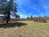 223 Spring Valley Ranch Road - Photo 8