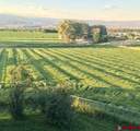 14638 G Road - Photo 5