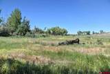 14334 6900 Road - Photo 11