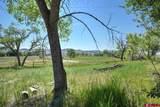 14334 6900 Road - Photo 15