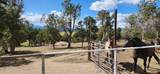 329 Payne Lane - Photo 42