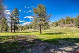 1798 Ranchland Drive - Photo 42