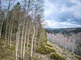 3 Hazel Lake Drive - Photo 43