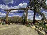 50 Durango Ridge Road - Photo 9