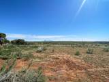 24138 Highway 491 - Photo 24
