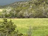 13010 Dry Gulch Road - Photo 18