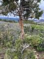 13010 Dry Gulch Road - Photo 21
