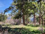 1600(2 Parcels) Elk Ridge Trail - Photo 29