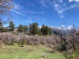 1600(2 Parcels) Elk Ridge Trail - Photo 36