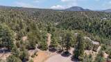 285 Logging Trail Road - Photo 1