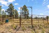 31 Creekside Place - Photo 40