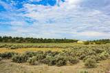 320 County Road 329 - Photo 4