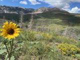1833 Yellowstone Creek Road - Photo 40