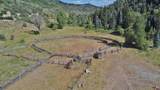 16001 Highway 133 - Photo 28